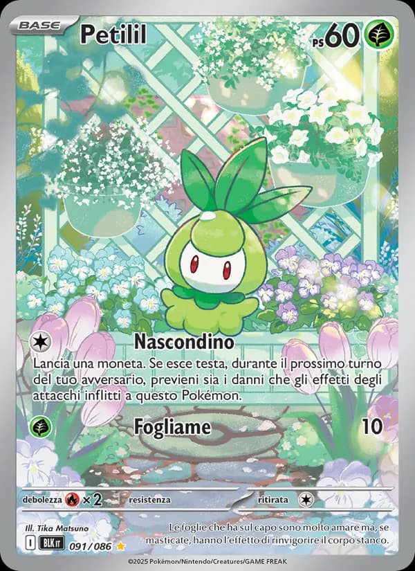 Petilil card in Italian