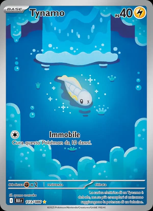 Tynamo card in Italian