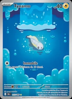 Tynamo card in Italian