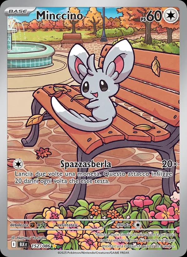 Minccino card in Italian