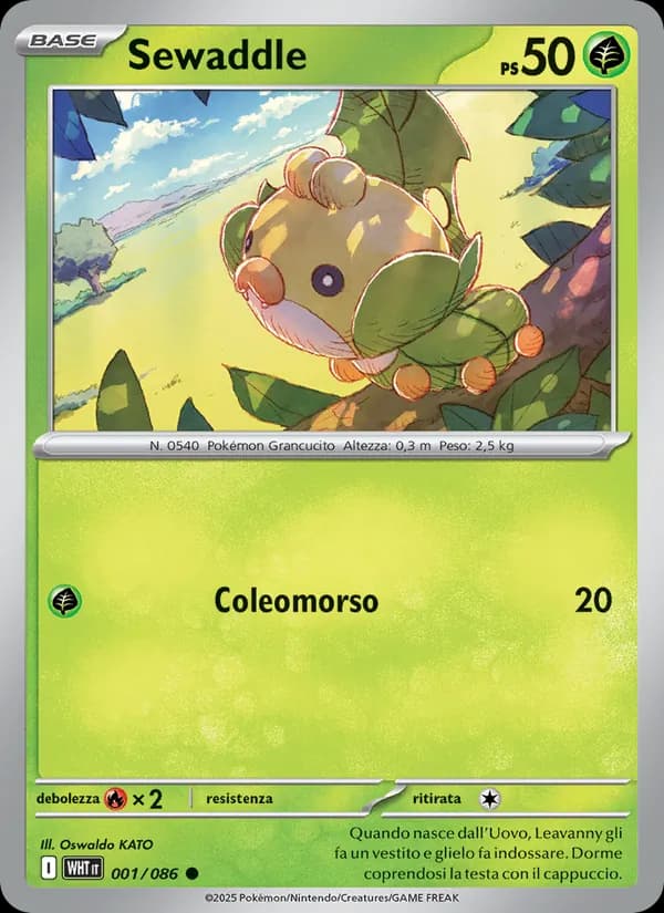 Sewaddle card in Italian