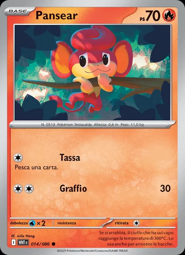 Pansear card in Italian