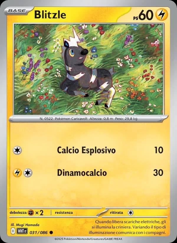 Blitzle card in Italian