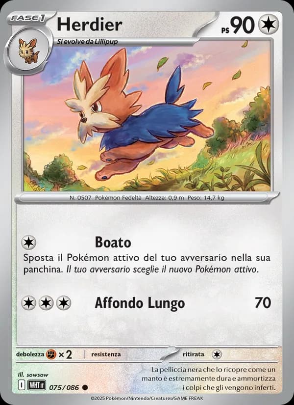 Herdier card in Italian
