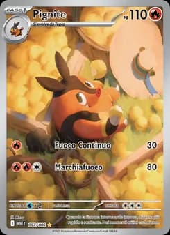 Pignite card in Italian