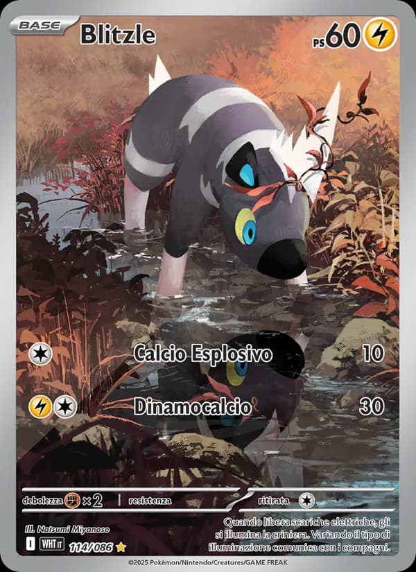 Blitzle card in Italian