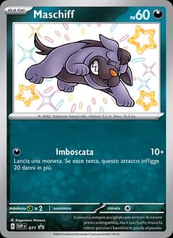Maschiff card in Italian