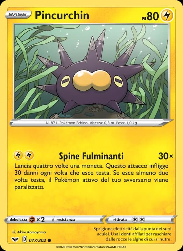 Pincurchin card in Italian
