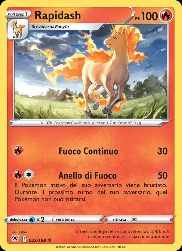 Rapidash card in Italian