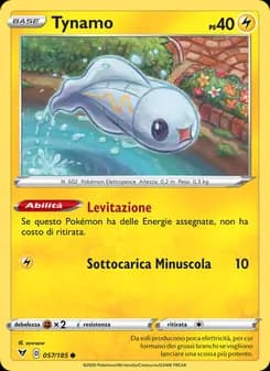 Tynamo card in Italian