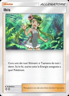 Ibis card in Italian