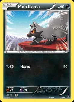 Poochyena card in Italian