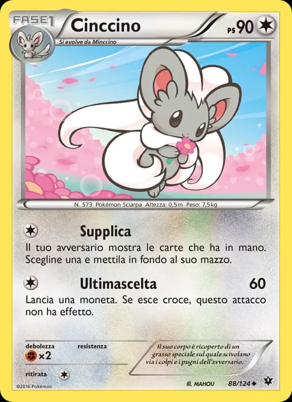 Cinccino card in Italian