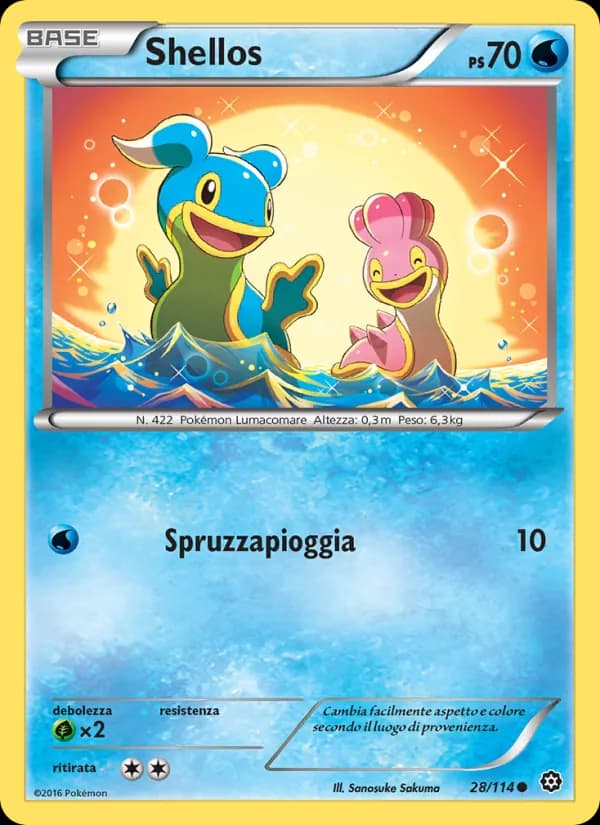 Shellos card in Italian