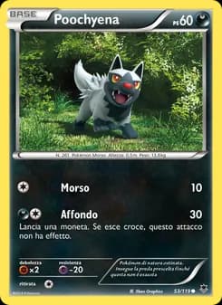 Poochyena card in Italian