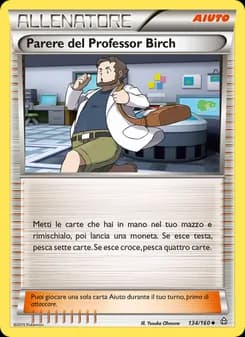 Parere del Professor Birch card in Italian