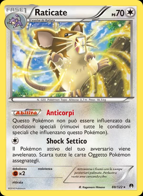 Raticate card in Italian