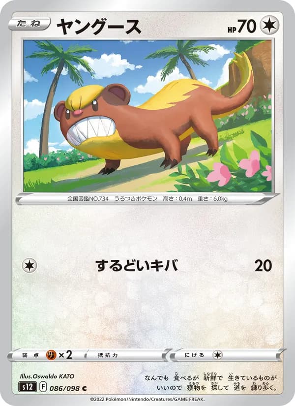 ヤングース card in Japanese