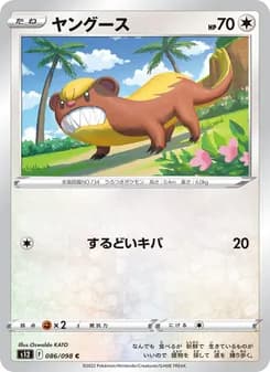 ヤングース card in Japanese