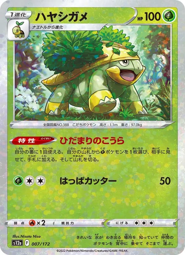 ハヤシガメ card in Japanese