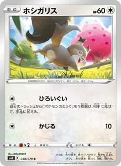 ホシガリス card in Japanese