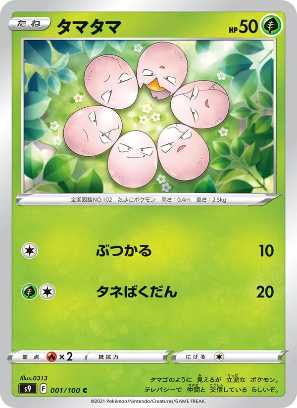 タマタマ card in Japanese