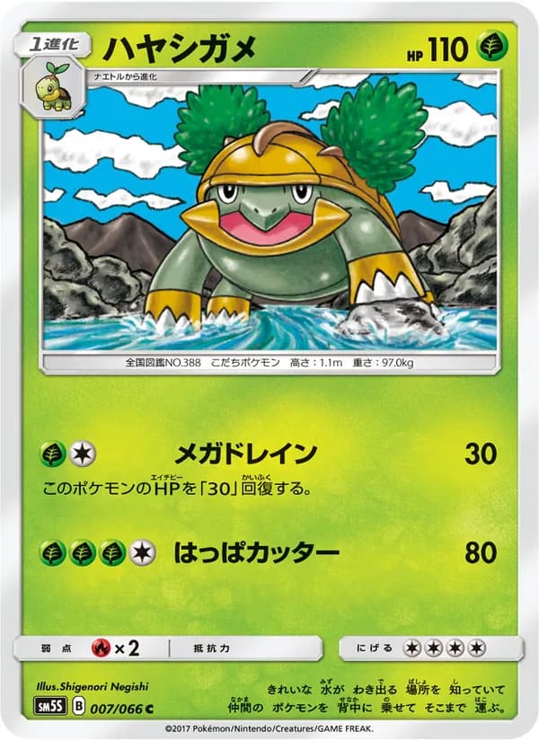ハヤシガメ card in Japanese