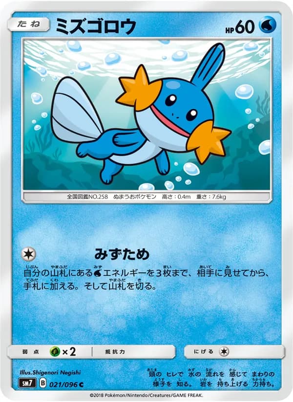 ミズゴロウ card in Japanese