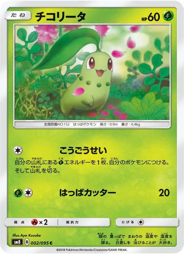 チコリータ card in Japanese