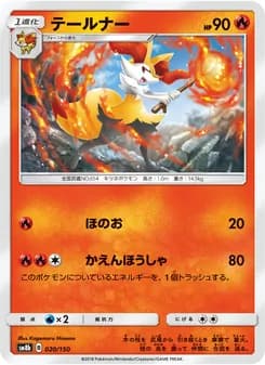 テールナー card in Japanese