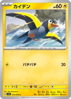 カイデン card in Japanese