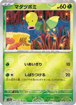 マダツボミ card in Japanese