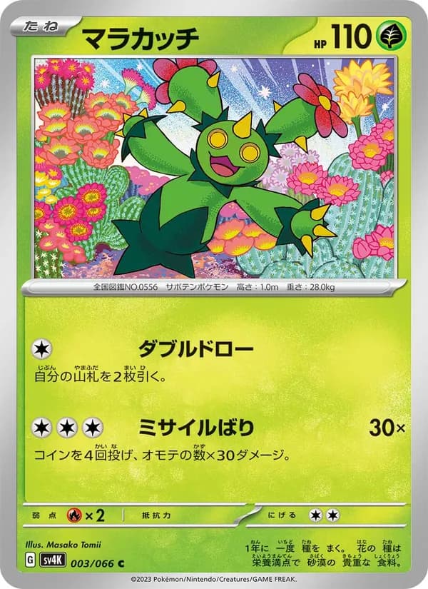 マラカッチ card in Japanese