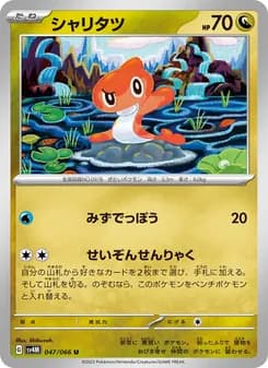 シャリタツ card in Japanese