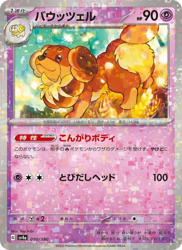 バウッツェル card in Japanese