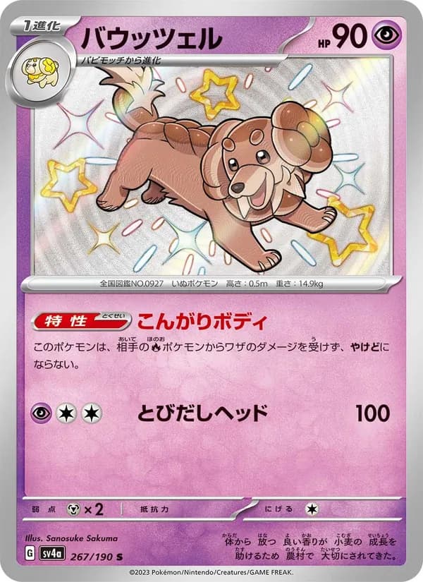 バウッツェル card in Japanese