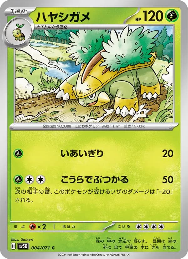 ハヤシガメ card in Japanese
