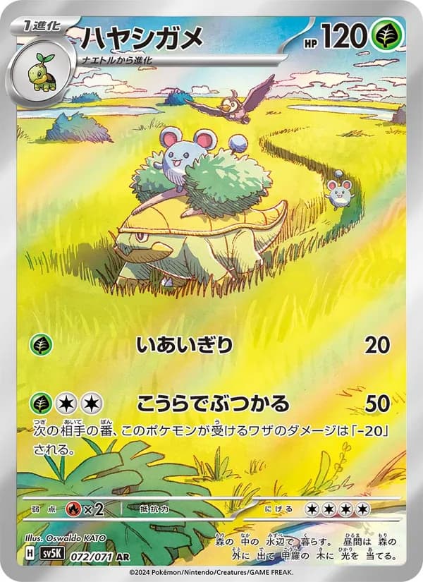 ハヤシガメ card in Japanese