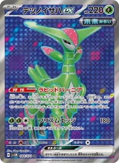テツノイサハex card in Japanese