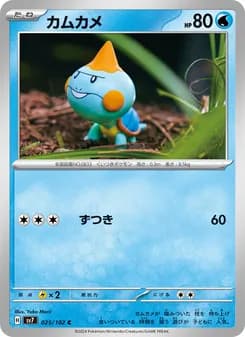 カムカメ card in Japanese