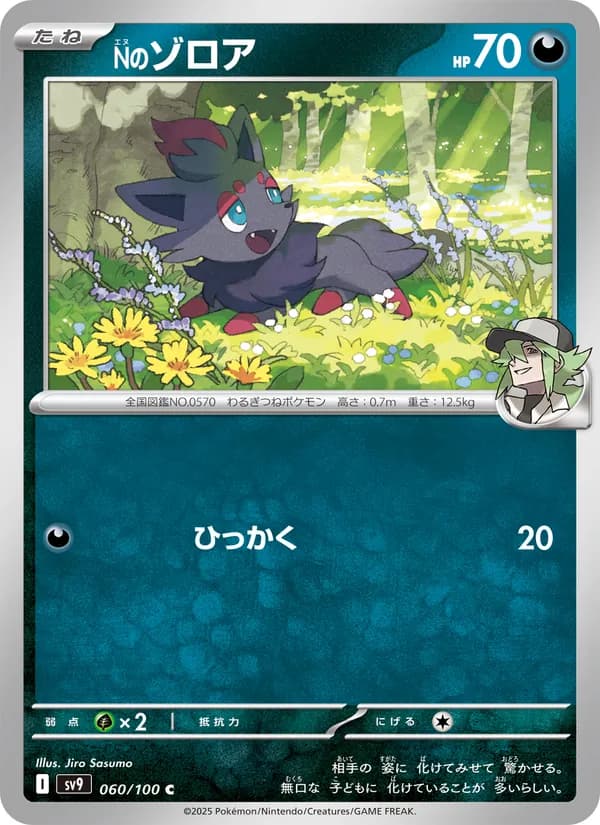 Nのゾロア card in Japanese
