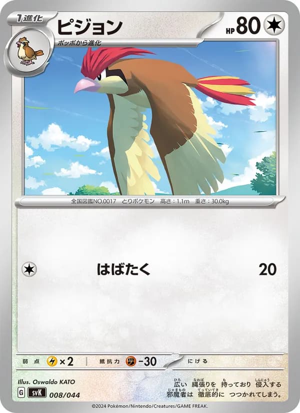 ピジョン card in Japanese