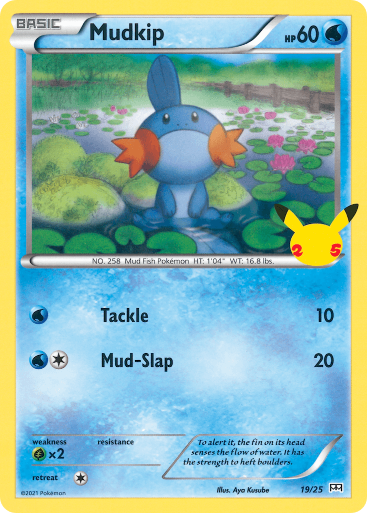 Mudkip card in English