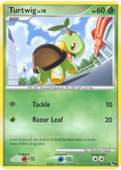 Turtwig card in English
