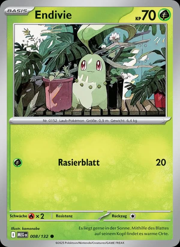 Endivie card in German
