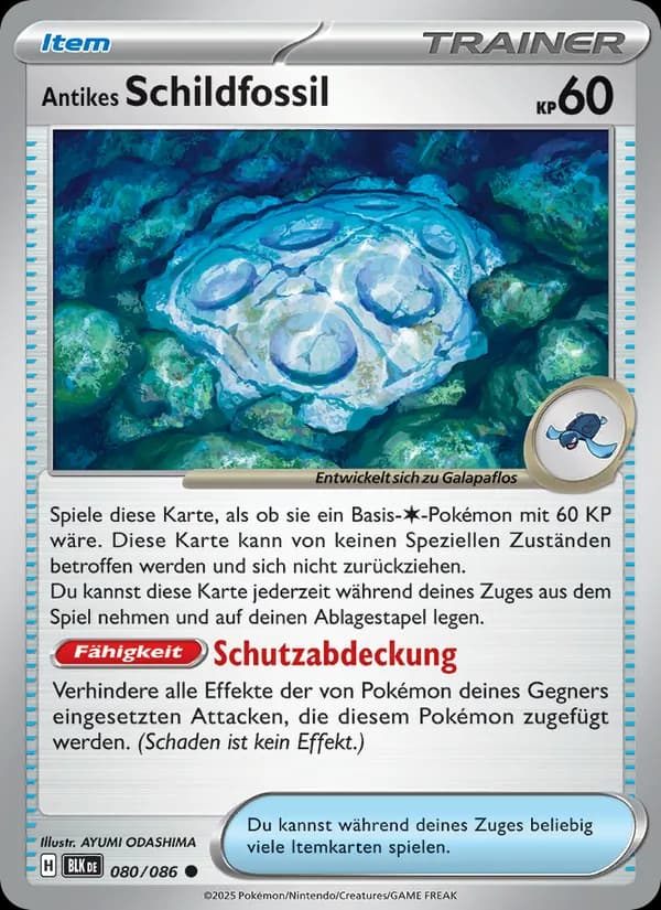 Antikes Schildfossil card in German