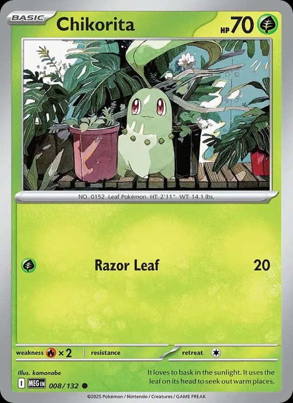 Chikorita card in English