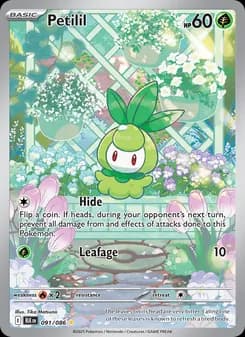 Petilil card in English