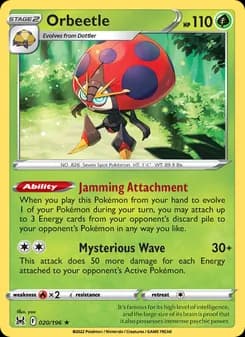 Orbeetle card in English