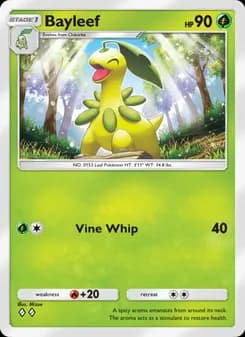 Bayleef card in English